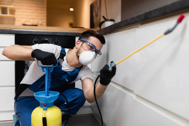 Reliable West Cape May, NJ Pest Control Solutions