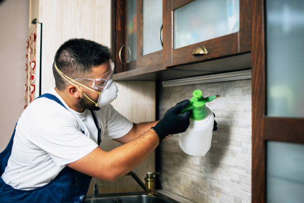 Best Pest Removal Services  in West Cape May, NJ