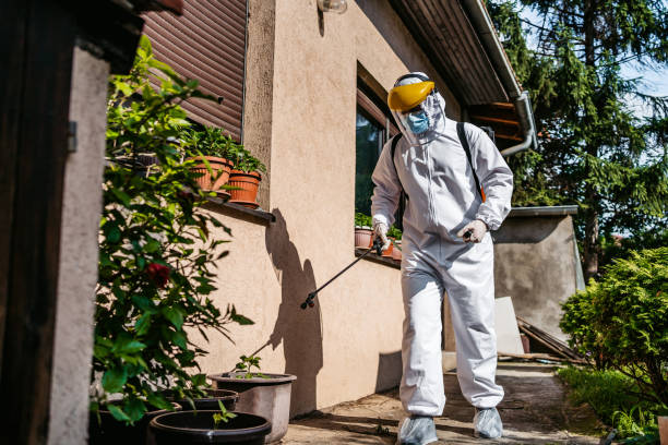 Best Affordable Pest Control Services  in West Cape May, NJ