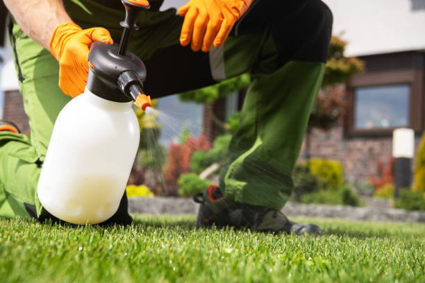 Best Pest Control Near Me in West Cape May, NJ