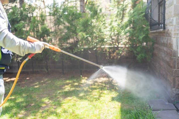 Best Mosquito Control Services  in West Cape May, NJ
