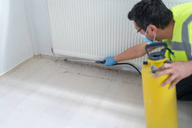 Best Best Pest Control Companies  in West Cape May, NJ