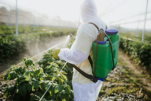 West Cape May, NJ Pest Control Company